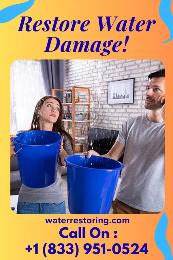 water restoration Diamond Extraction & Associates Glen Haven